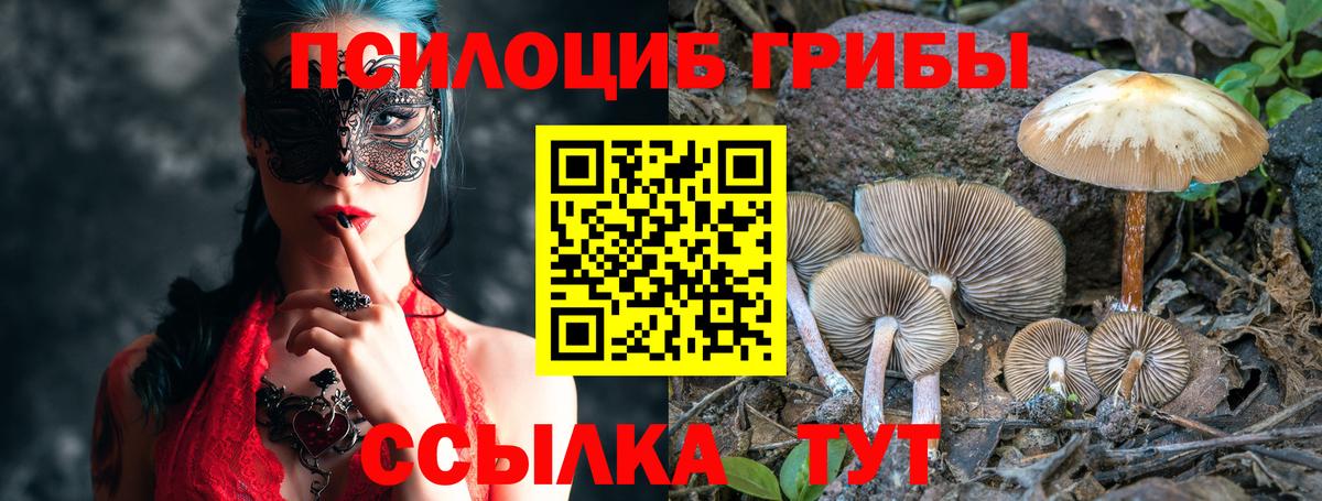 Псилоцибиновые грибы мухоморы Мелеуз